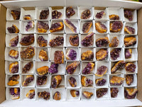 Natural Amethystos Amethyst Clusters x 66 From Kwaggafontein, South Africa