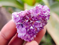 Natural Amethystos Amethyst Clusters x 66 From Kwaggafontein, South Africa