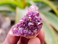 Natural Amethystos Amethyst Clusters x 66 From Kwaggafontein, South Africa