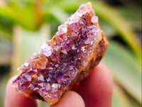 Natural Amethystos Amethyst Clusters x 66 From Kwaggafontein, South Africa