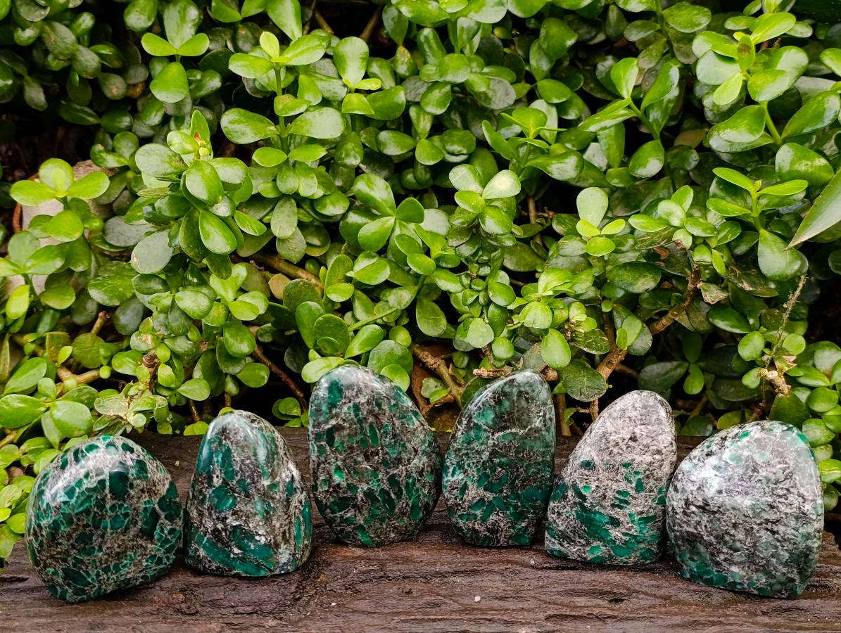 Polished Emerald Mica 'Mutokolite' Standing Free Forms x 6 From Mutoko, Zimbabwe - Toprock Gemstones and Minerals 
