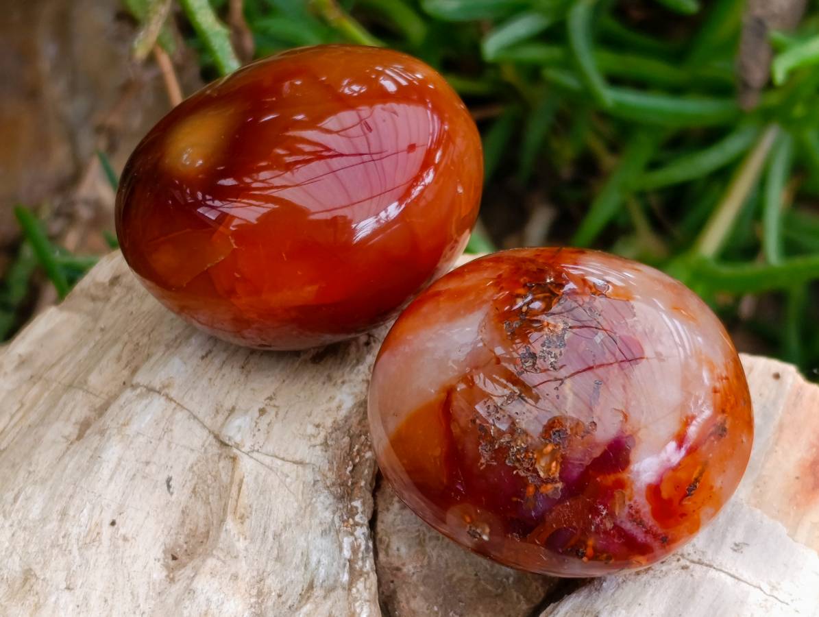 Polished Carnelian Agate Gemstone Galets x 35 From Madagascar - Toprock Gemstones and Minerals 