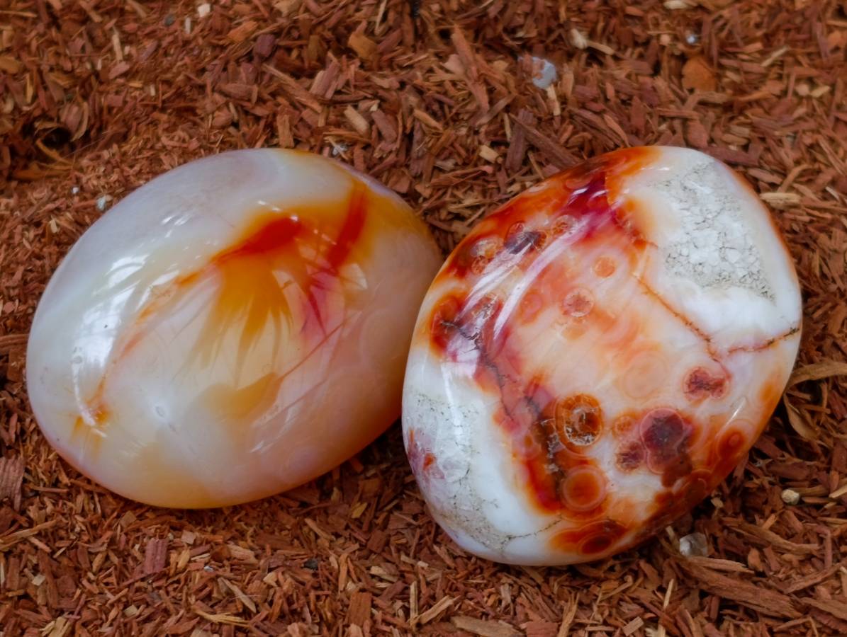 Polished Carnelian Agate Gemstone Galets x 35 From Madagascar - Toprock Gemstones and Minerals 