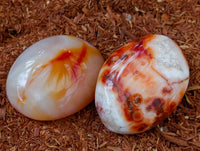 Polished Carnelian Agate Gemstone Galets x 35 From Madagascar