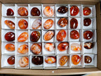 Polished Carnelian Agate Gemstone Galets x 35 From Madagascar - Toprock Gemstones and Minerals 
