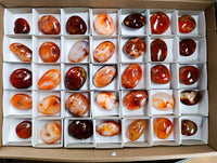 Polished Carnelian Agate Gemstone Galets x 35 From Madagascar