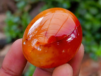 Polished Carnelian Agate Gemstone Galets x 35 From Madagascar