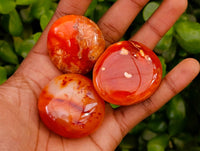 Polished Carnelian Agate Gemstone Galets x 35 From Madagascar