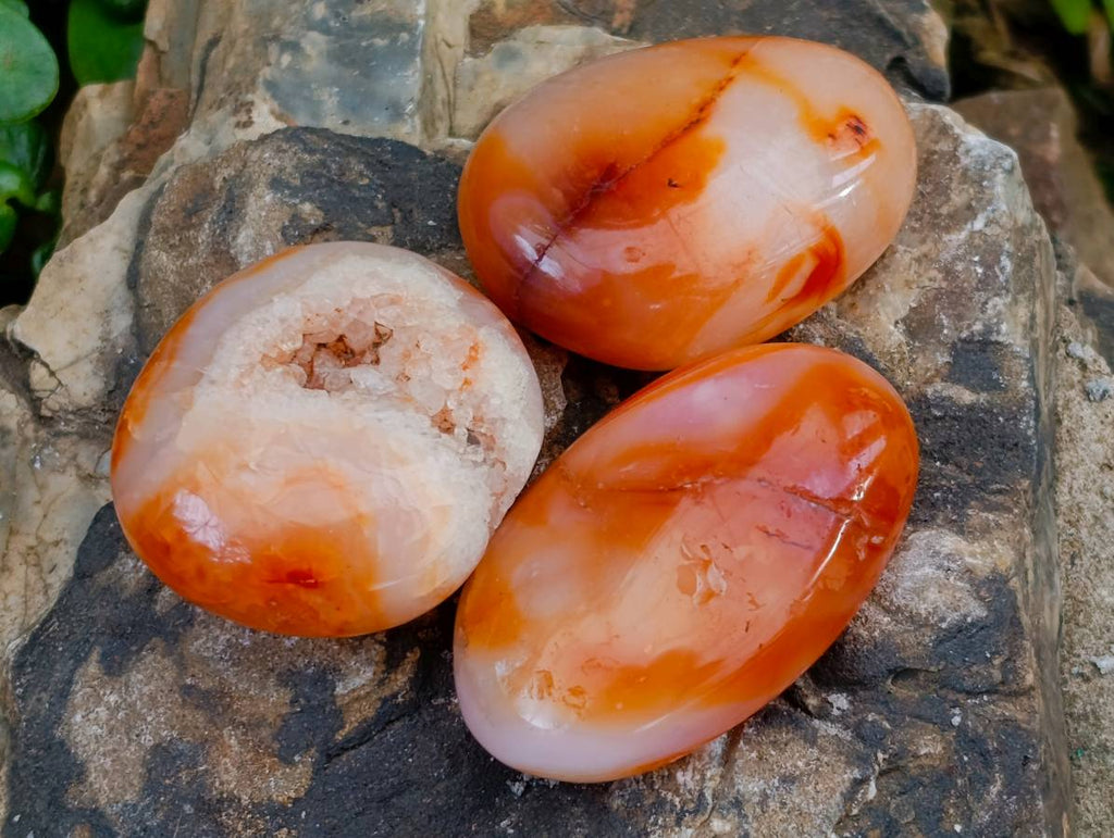 Polished Carnelian Agate Gemstone Galets x 35 From Madagascar - Toprock Gemstones and Minerals 