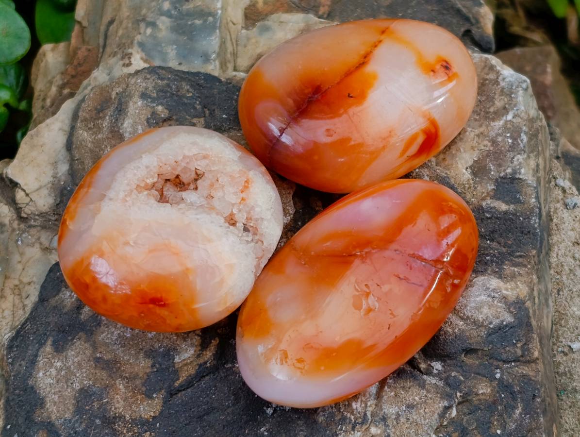 Polished Carnelian Agate Gemstone Galets x 35 From Madagascar - Toprock Gemstones and Minerals 