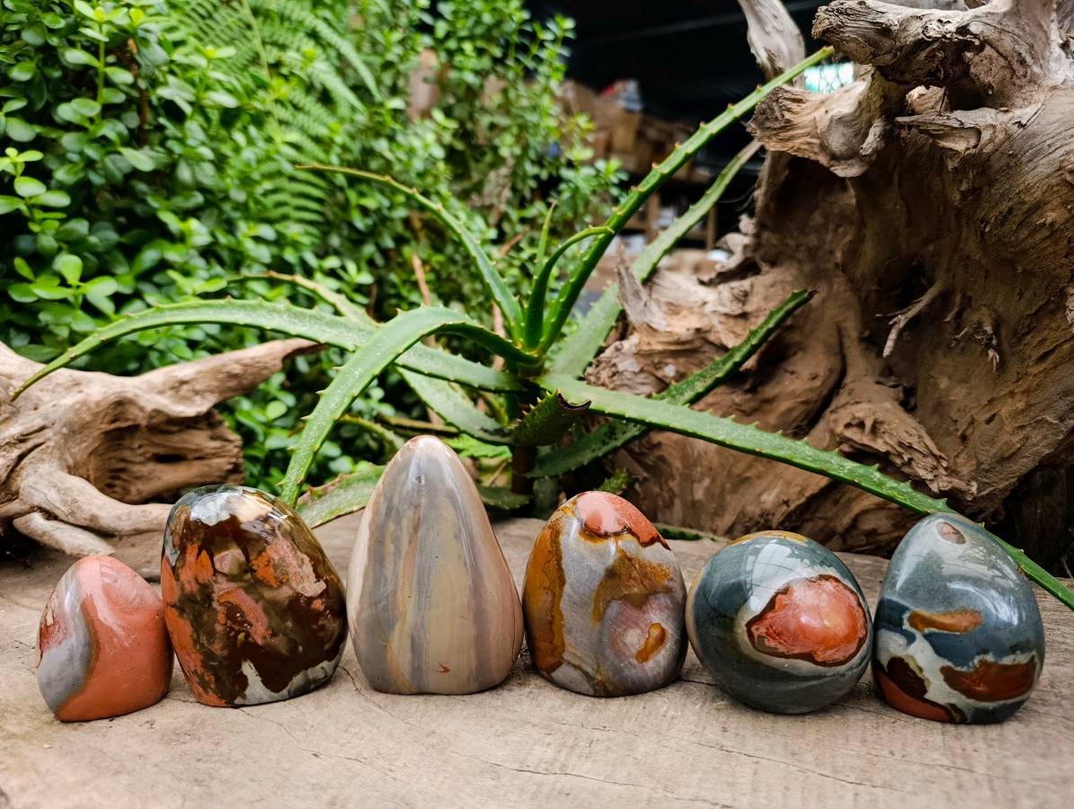 Polished Polychrome Jasper Standing Free Forms x 6 From NW Coast, Madagascar - Toprock Gemstones and Minerals 