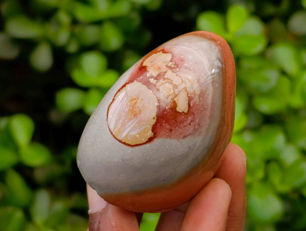 Polished Polychrome Jasper Standing Free Forms x 6 From NW Coast, Madagascar - Toprock Gemstones and Minerals 