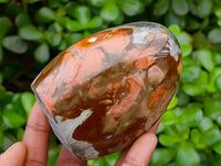 Polished Polychrome Jasper Standing Free Forms x 6 From NW Coast, Madagascar