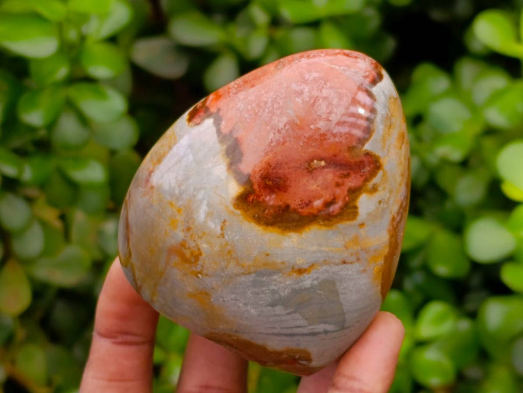 Polished Polychrome Jasper Standing Free Forms x 6 From NW Coast, Madagascar - Toprock Gemstones and Minerals 