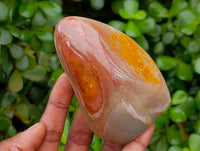 Polished Polychrome Jasper Standing Free Forms x 6 From NW Coast, Madagascar