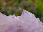 Natural Amethyst Spirit Quartz Clusters x 6 From Boekenhouthoek, South Africa - Toprock Gemstones and Minerals 