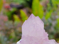 Natural Amethyst Spirit Quartz Clusters x 6 From Boekenhouthoek, South Africa