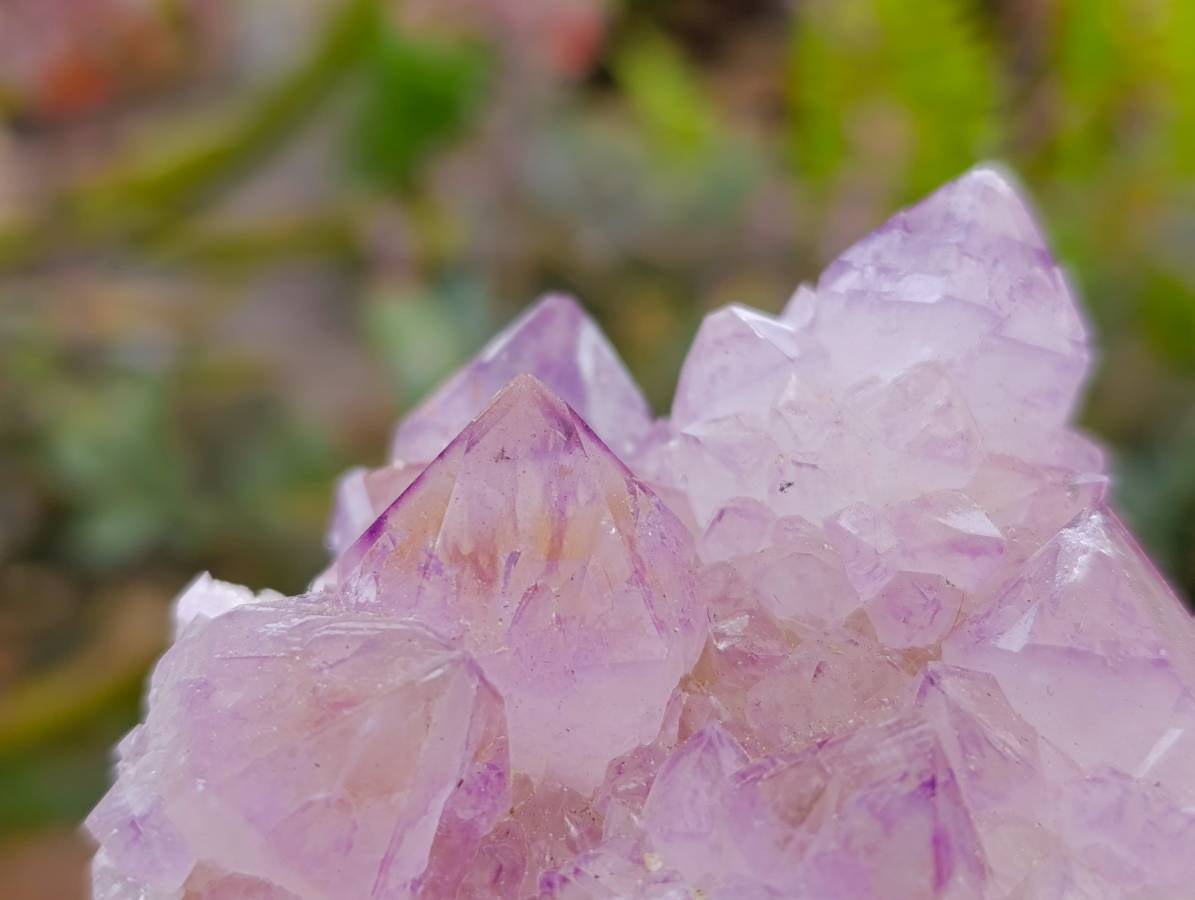 Natural Amethyst Spirit Quartz Clusters x 6 From Boekenhouthoek, South Africa - Toprock Gemstones and Minerals 
