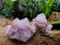 Natural Amethyst Spirit Quartz Clusters x 6 From Boekenhouthoek, South Africa