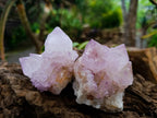 Natural Amethyst Spirit Quartz Clusters x 6 From Boekenhouthoek, South Africa - Toprock Gemstones and Minerals 