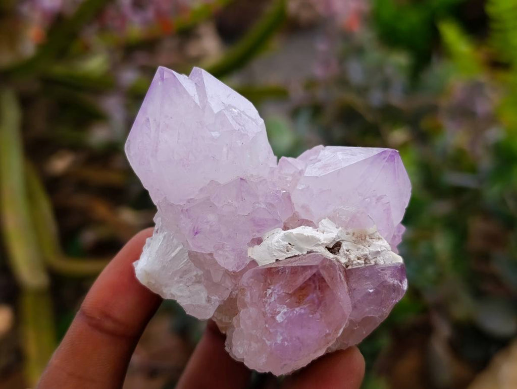 Natural Amethyst Spirit Quartz Clusters x 6 From Boekenhouthoek, South Africa - Toprock Gemstones and Minerals 