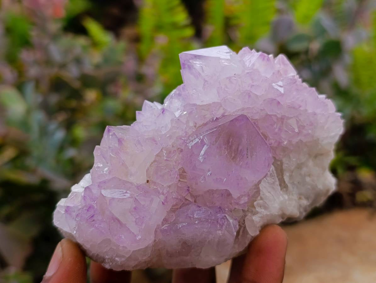 Natural Amethyst Spirit Quartz Clusters x 6 From Boekenhouthoek, South Africa - Toprock Gemstones and Minerals 