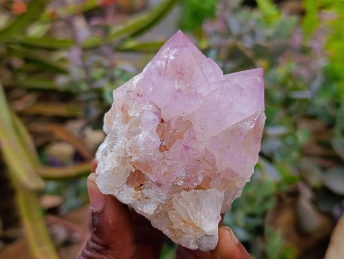 Natural Amethyst Spirit Quartz Clusters x 6 From Boekenhouthoek, South Africa - Toprock Gemstones and Minerals 