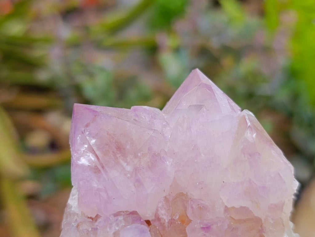 Natural Amethyst Spirit Quartz Clusters x 6 From Boekenhouthoek, South Africa - Toprock Gemstones and Minerals 