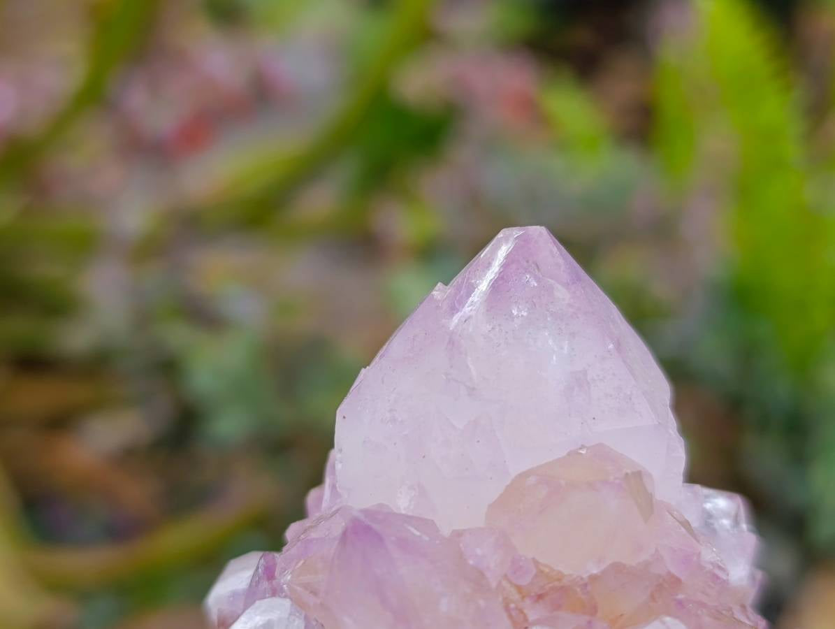 Natural Amethyst Spirit Quartz Clusters x 6 From Boekenhouthoek, South Africa - Toprock Gemstones and Minerals 