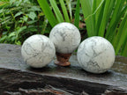 Polished Lightning Strike Howlite Spheres x 4 From Zimbabwe - Toprock Gemstones and Minerals 