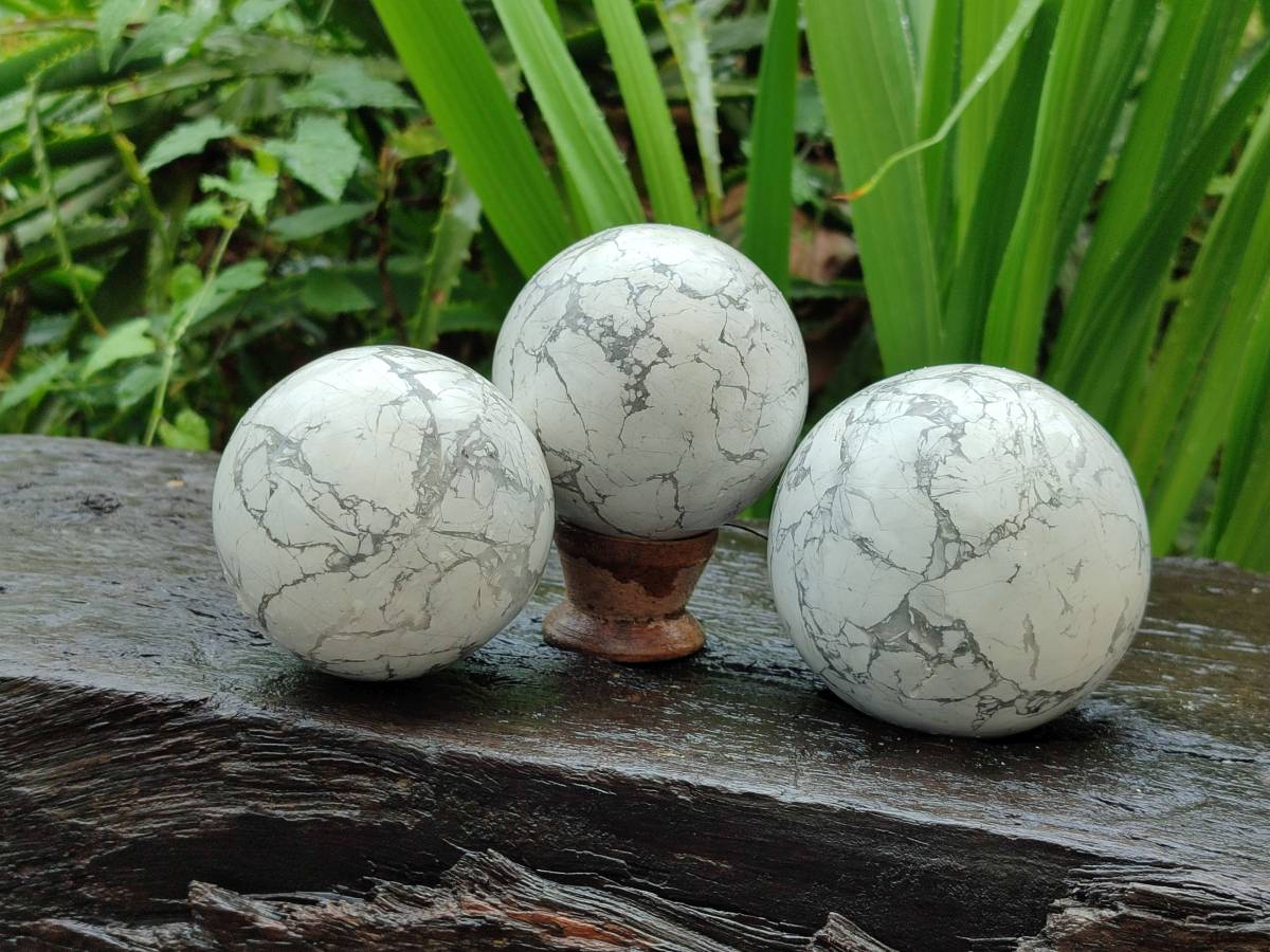 Polished Lightning Strike Howlite Spheres x 4 From Zimbabwe - Toprock Gemstones and Minerals 