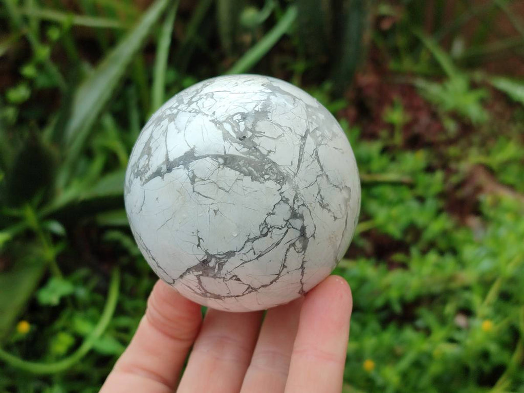 Polished Lightning Strike Howlite Spheres x 4 From Zimbabwe - Toprock Gemstones and Minerals 