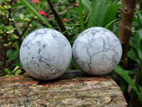Polished Lightning Strike Howlite Spheres x 4 From Zimbabwe