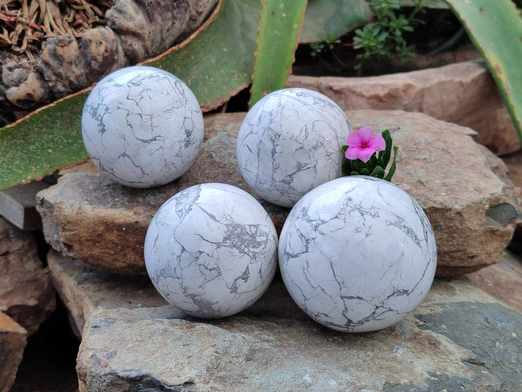 Polished Lightning Strike Howlite Spheres x 4 From Zimbabwe - Toprock Gemstones and Minerals 