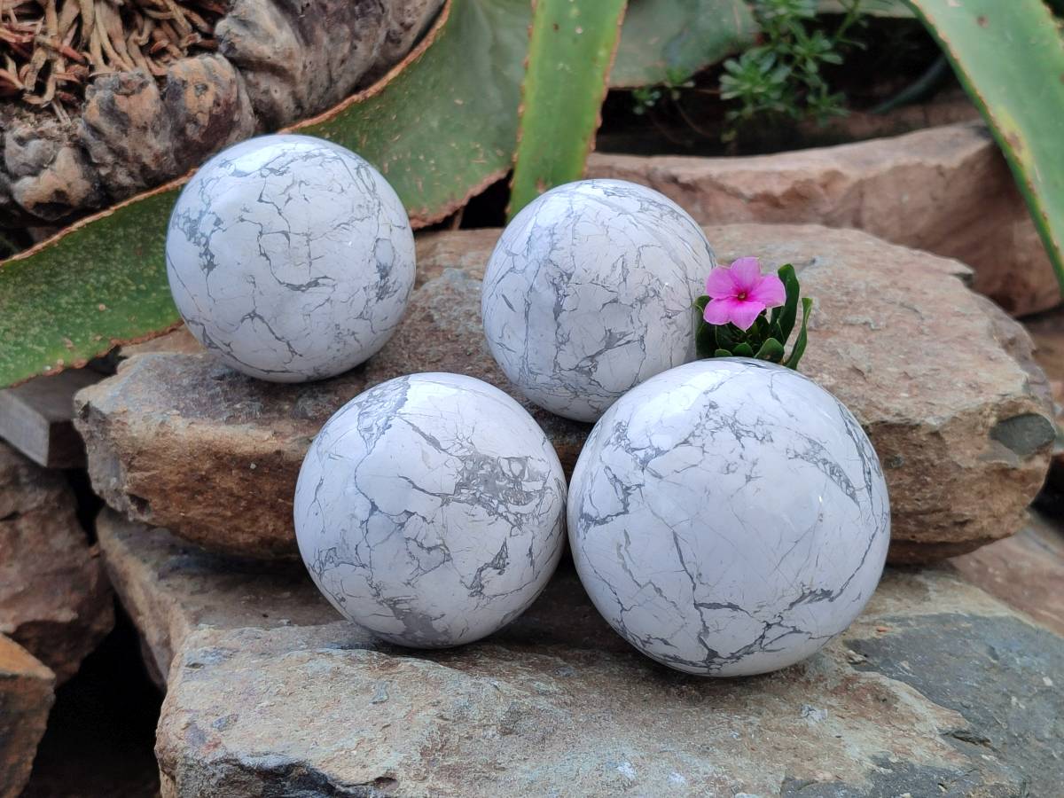 Polished Lightning Strike Howlite Spheres x 4 From Zimbabwe - Toprock Gemstones and Minerals 