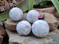 Polished Lightning Strike Howlite Spheres x 4 From Zimbabwe