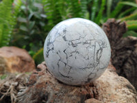 Polished Lightning Strike Howlite Spheres x 4 From Zimbabwe