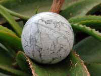 Polished Lightning Strike Howlite Spheres x 4 From Zimbabwe