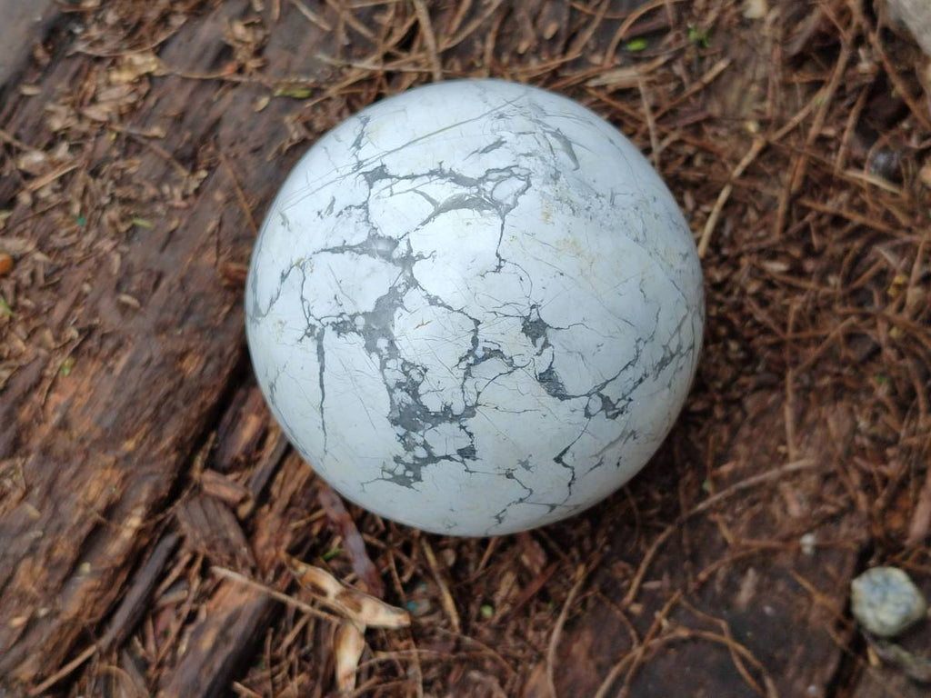 Polished Lightning Strike Howlite Spheres x 4 From Zimbabwe - Toprock Gemstones and Minerals 