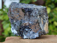 Selected Galena Cobbed Fragile Silver Ore x 12 From Kaokoveld, Namibia