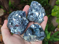 Selected Galena Cobbed Fragile Silver Ore x 12 From Kaokoveld, Namibia