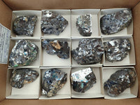 Selected Galena Cobbed Fragile Silver Ore x 12 From Kaokoveld, Namibia