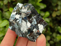 Selected Galena Cobbed Fragile Silver Ore x 12 From Kaokoveld, Namibia