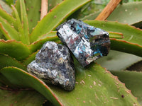 Selected Galena Cobbed Fragile Silver Ore x 12 From Kaokoveld, Namibia