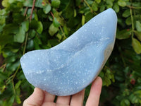 Polished Blue Lace Agate Free Forms x 3 From Nsanje, Malawi