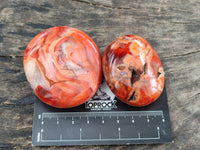Polished Mixed Selected Multi Mineral Palm Stones x 24 From Madagascar