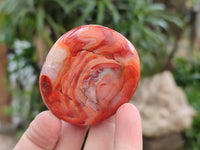 Polished Mixed Selected Multi Mineral Palm Stones x 24 From Madagascar