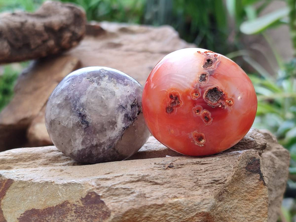 Polished Mixed Selected Multi Mineral Palm Stones x 24 From Madagascar - Toprock Gemstones and Minerals 