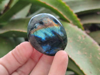 Polished Mixed Selected Multi Mineral Palm Stones x 24 From Madagascar