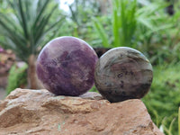 Polished Mixed Selected Multi Mineral Palm Stones x 24 From Madagascar